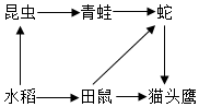 菁優(yōu)網(wǎng)