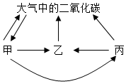 菁優(yōu)網(wǎng)