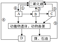 菁優(yōu)網(wǎng)