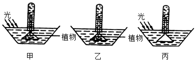 菁優(yōu)網(wǎng)