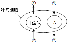 菁優(yōu)網(wǎng)