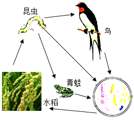 菁優(yōu)網