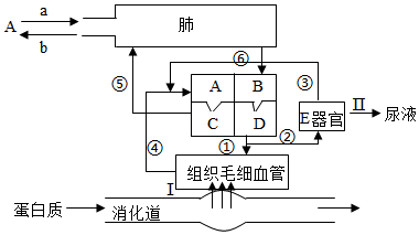 菁優(yōu)網(wǎng)