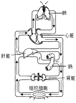 菁優(yōu)網(wǎng)