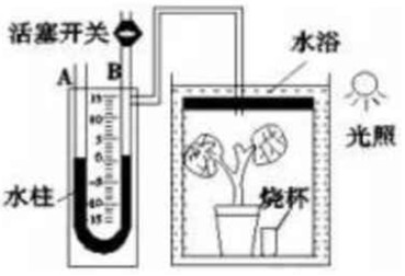 菁優(yōu)網(wǎng)