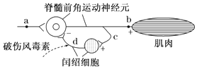 菁優(yōu)網(wǎng)