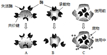 菁優(yōu)網