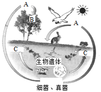 菁優(yōu)網(wǎng)