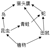 菁優(yōu)網(wǎng)