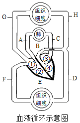 菁優(yōu)網(wǎng)