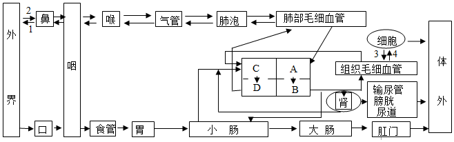 菁優(yōu)網(wǎng)