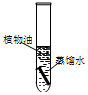 菁優(yōu)網(wǎng)