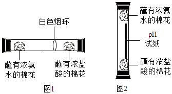 菁優(yōu)網