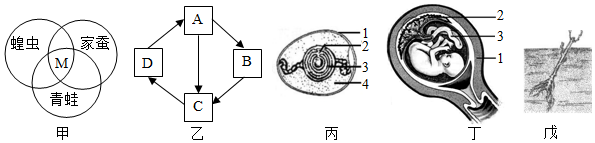 菁優(yōu)網(wǎng)