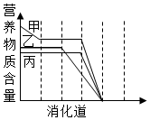 菁優(yōu)網