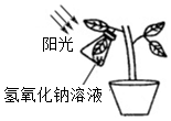 菁優(yōu)網(wǎng)