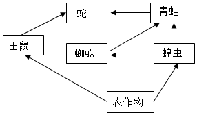 菁優(yōu)網