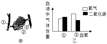 菁優(yōu)網(wǎng)