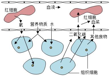 菁優(yōu)網