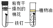 菁優(yōu)網