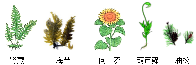 菁優(yōu)網