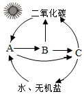 菁優(yōu)網(wǎng)