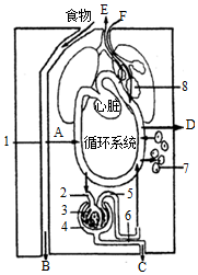 菁優(yōu)網(wǎng)