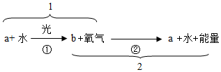 菁優(yōu)網(wǎng)