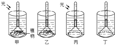 菁優(yōu)網(wǎng)