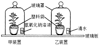 菁優(yōu)網