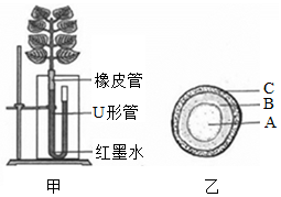 菁優(yōu)網(wǎng)