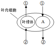 菁優(yōu)網(wǎng)