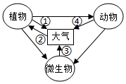 菁優(yōu)網(wǎng)