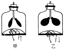 菁優(yōu)網(wǎng)