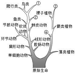 菁優(yōu)網(wǎng)