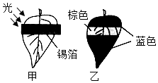 菁優(yōu)網(wǎng)