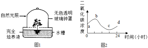 菁優(yōu)網(wǎng)