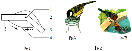 菁優(yōu)網(wǎng)