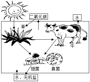 菁優(yōu)網(wǎng)