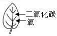 菁優(yōu)網