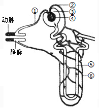 菁優(yōu)網(wǎng)