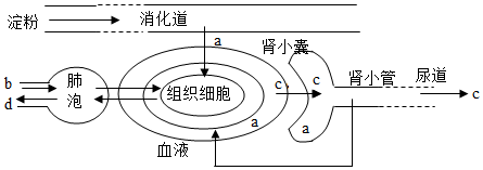 菁優(yōu)網