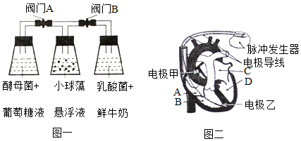 菁優(yōu)網(wǎng)