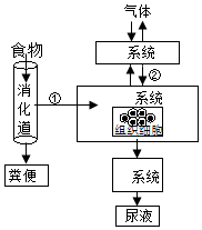 菁優(yōu)網(wǎng)