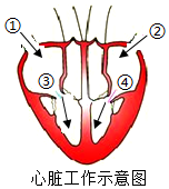 菁優(yōu)網(wǎng)