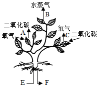 菁優(yōu)網(wǎng)