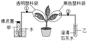 菁優(yōu)網(wǎng)