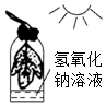 菁優(yōu)網(wǎng)