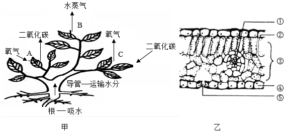 菁優(yōu)網(wǎng)