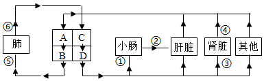 菁優(yōu)網(wǎng)